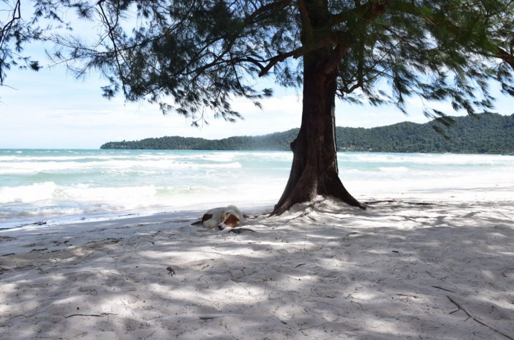 Koh Rong Samloem | © Crabs Move Sideways/CMS