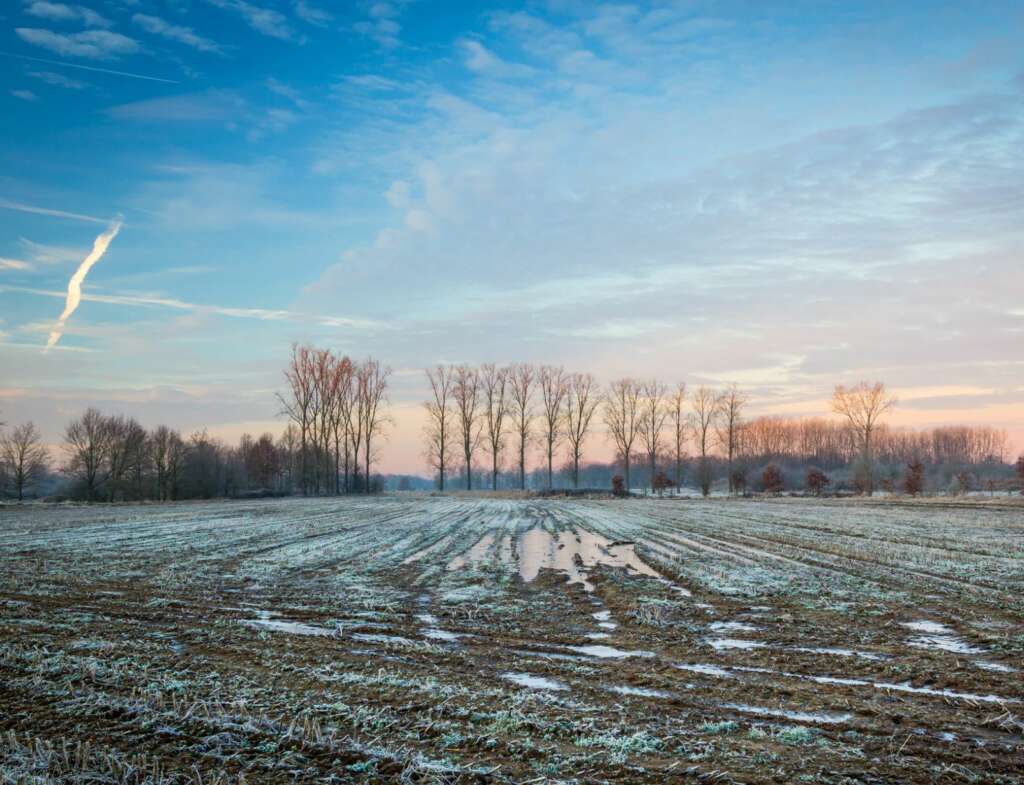 Limburg