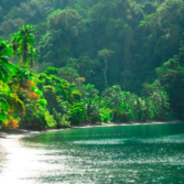 Five of the Best Hikes and Scenic Trails in Costa Rica: Explore Paradise While Teaching Abroad