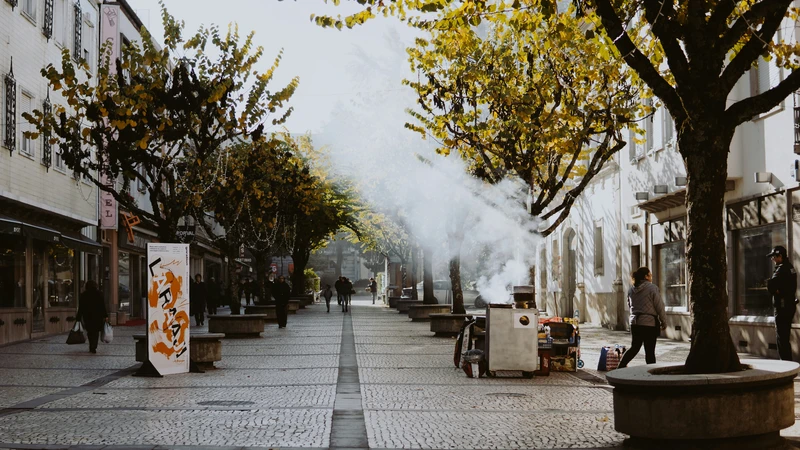 Teaching Requirements Portugal